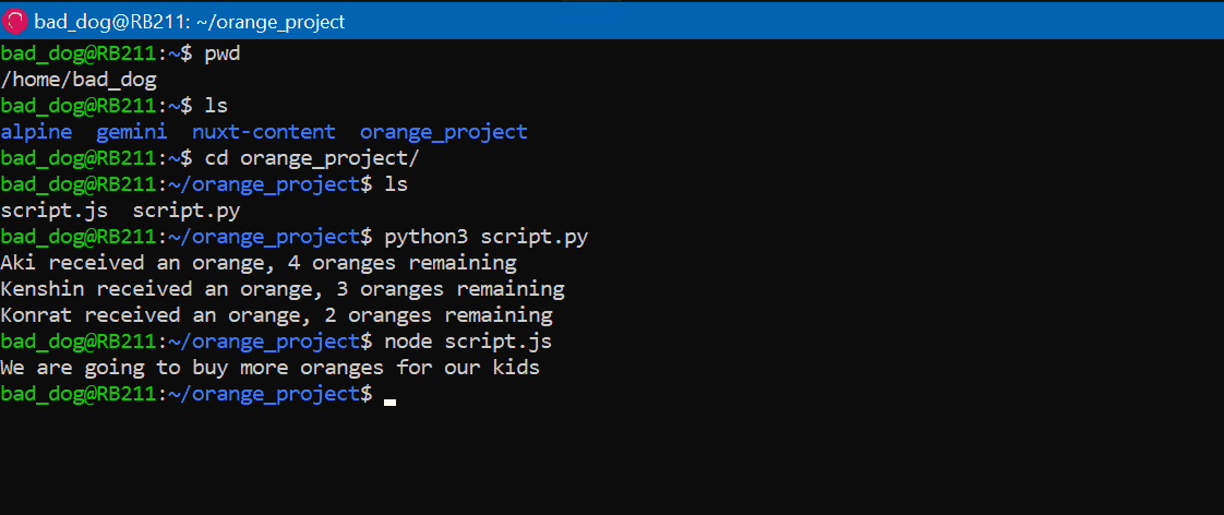 Python and JavaScript files executed using Terminal