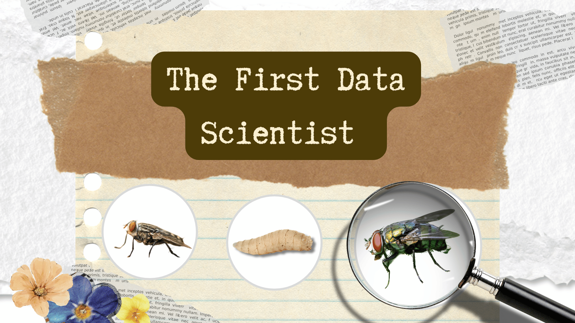 The First Data Scientist Who Hacked Time